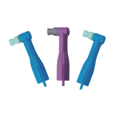 ฟัน โปรฟีฟันฟันฟันฟันฟันฟันฟันฟันฟันฟันฟัน