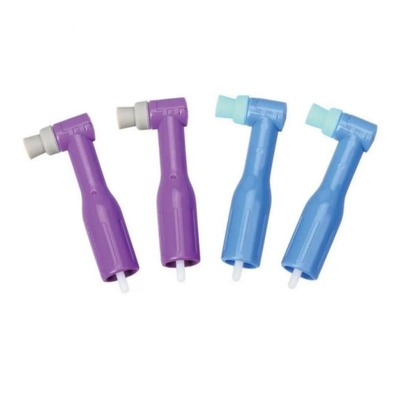 ฟัน โปรฟีฟันฟันฟันฟันฟันฟันฟันฟันฟันฟันฟัน