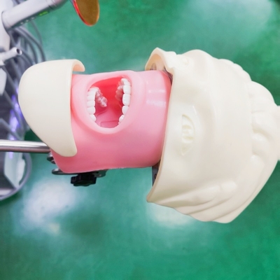 แบบจำลองการฝึกอบรมนักศึกษาทันตแพทย์มืออาชีพ รุ่นจำลองศีรษะหุ่นทันตกรรมทางทันตกรรมศาสตร์