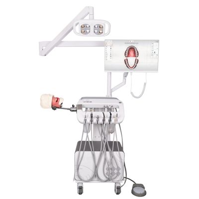 หน่วยการศึกษาจำลองทันตกรรม ระบบการฝึกปฏิบัติการจำลองของโรงเรียนทันตกรรม หุ่นจำลองศีรษะสำหรับรากฟันเทียม