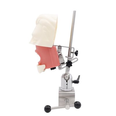 หน่วยการศึกษาจำลองทันตกรรม ระบบการฝึกปฏิบัติการจำลองของโรงเรียนทันตกรรม หุ่นจำลองศีรษะสำหรับรากฟันเทียม