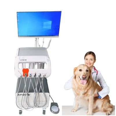 Custom Portable Veterinary Instrument Unique Design Mobile Dental Trolley with Oral Camera
