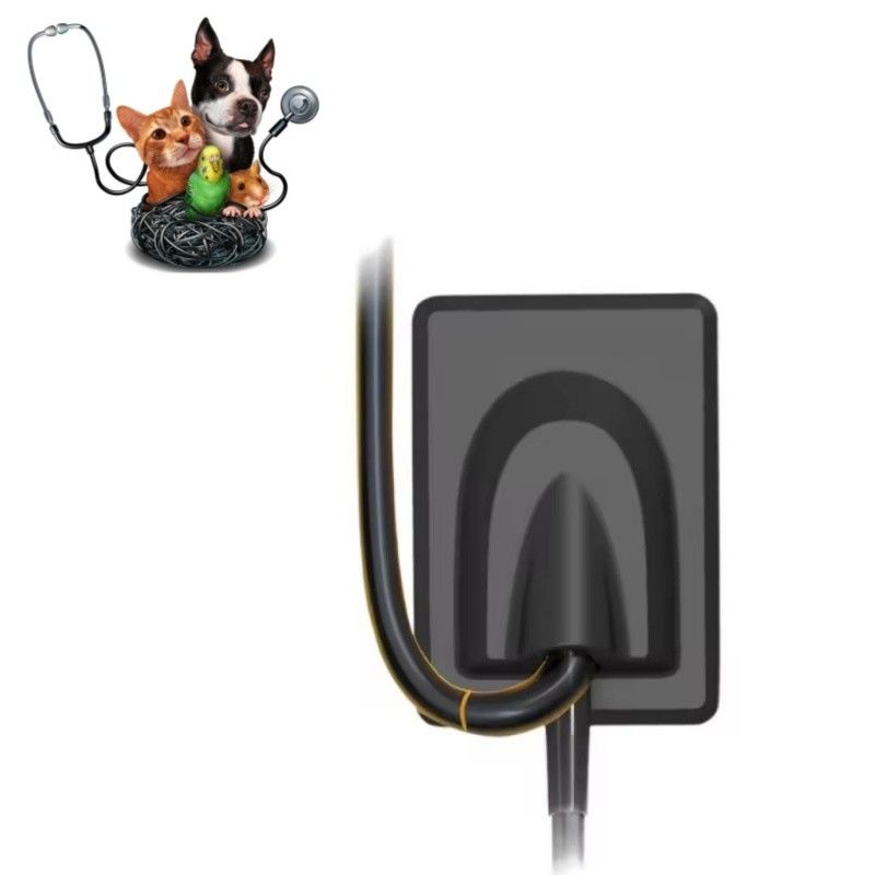 อุปกรณ์ทันตกรรมสัตว์ดิจิตอล ระบบถ่ายภาพรังสีเอกซ์ เซ็นเซอร์เอ็กซ์เรย์ฟันสัตว์เลี้ยง RVG