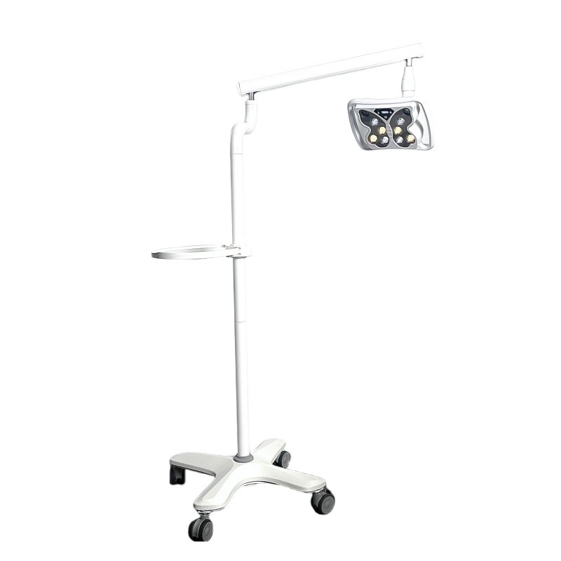 แสงฟอกฟันทรงผีเสื้อ สาลอนความงาม คลินิกฟัน ใช้เครื่องฟอกฟัน 3 แบบ