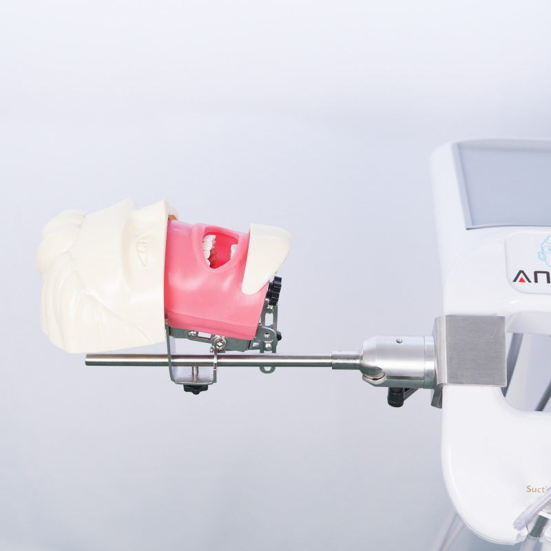 Advanced Oral Phantom Head การสอนฟัน Head โมเดล โรงเรียนฟัน Desktop Practice การฝึกอบรมฟัน Simulator