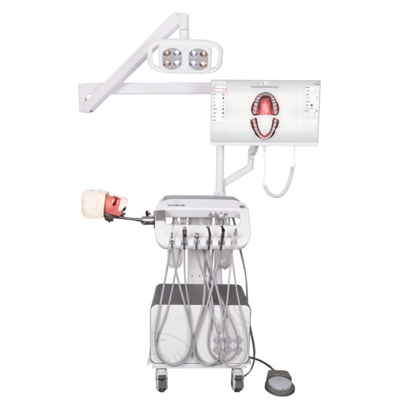 หน่วยการศึกษาจำลองทันตกรรม ระบบการฝึกปฏิบัติการจำลองของโรงเรียนทันตกรรม หุ่นจำลองศีรษะสำหรับรากฟันเทียม