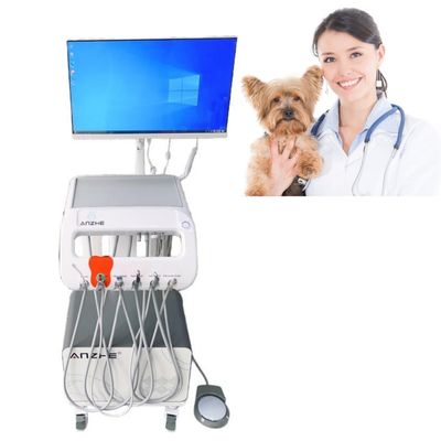 ราคาดี โต๊ะทํางานฟันเคลื่อนย้ายสําหรับวัตถุอุปกรณ์การรักษาพยาบาลสัตว์ การดูแลฟันสัตว์ รถกระบะฟันเคลื่อนย้าย ออนไลน์