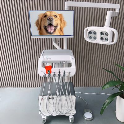 ราคาดี เครื่องบําบัดฟันสัตว์เลี้ยง All-in-One Mobile Veterinary Dental Unit with LED Lamp PC Mobile Vet Dental Cart สําหรับการดูแลฟันของสุนัข ออนไลน์