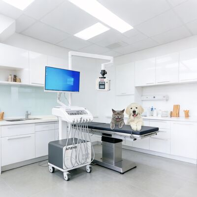 ราคาดี ชุดทำฟันเคลื่อนที่แบบพกพาพร้อมเครื่องเอกซเรย์ในตัวและรถเข็นทำฟันแบบพกพาพร้อมคอมเพรสเซอร์ลม ระบบดูด ชุดจ่ายยาสำหรับคลินิกและการใช้งานนอกสถานที่ ออนไลน์