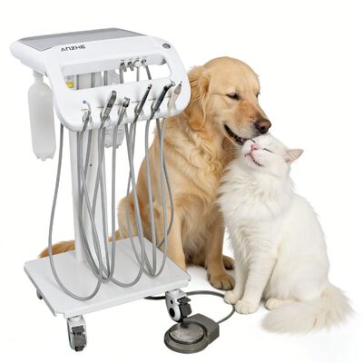 Veterinary Dental Trolley Pet Dental Treatment Cart Portable Vet Dental Unit for Dog and Cat Teeth Cleaning Equipment