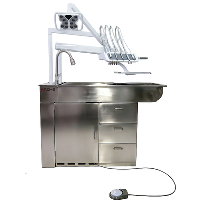 Stainless Steel Veterinary Dental Treatment Table with LED Surgical Light and 550W Power for Animal Clinics