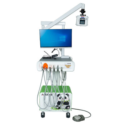 All in One Portable Veterinary Dental Unit with X Ray i7 PC 4K Camera Oil Free Compressor Pet Dental Machine