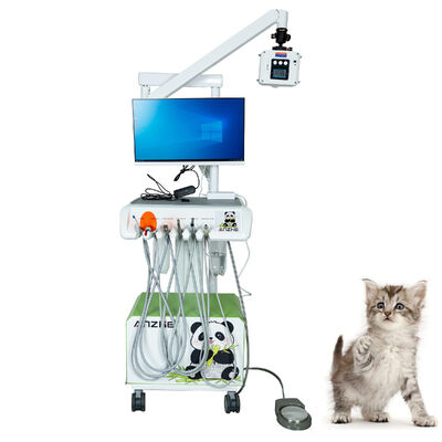 ราคาดี ร้านผลิตแท้ วัตกรรมศาสตร์ดิจิตอล Intraoral Sensor Plug-and-play อุปกรณ์ครบครัน X-Ray ความละเอียดสูงสําหรับคลินิกสัตว์เลี้ยง ออนไลน์