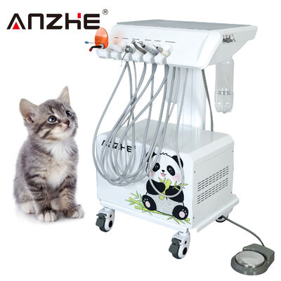 ราคาดี All in One แบบพกพาสัตวแพทย์ทันตกรรมหน่วยเครื่องอัดอากาศ Ultrasonic Scaler LED Curing Light ระบบดูดสัตว์เลี้ยงมือถืออุปกรณ์ทันตกรรมสำหรับโรงพยาบาลสัตว์ ออนไลน์