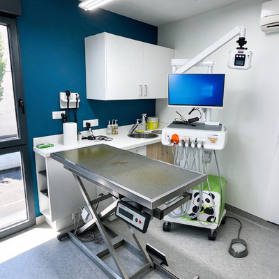 All in One Veterinary Dental Workstation พร้อมเซ็นเซอร์รังสีดิจิตอลและกล้องปากสําหรับคลินิกสัตว์
